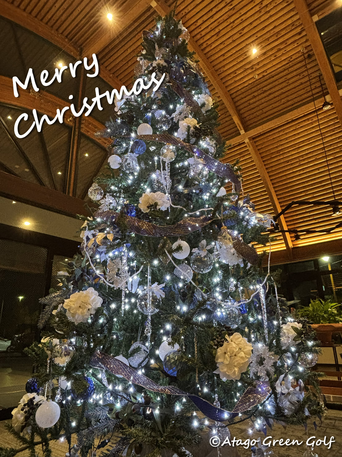 クリスマスツリー